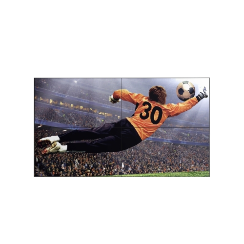 LG Commercial Displays 49VL5G-M