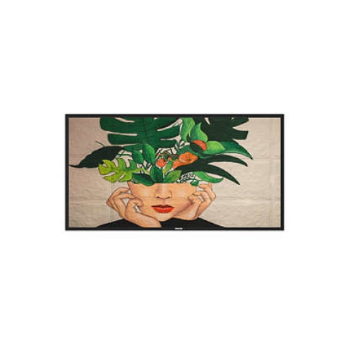 Philips Commercial Displays 43BDL4511D/00