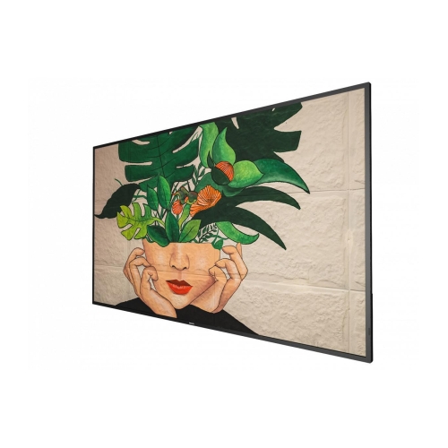 Philips Commercial Displays 55BDL4511D/00