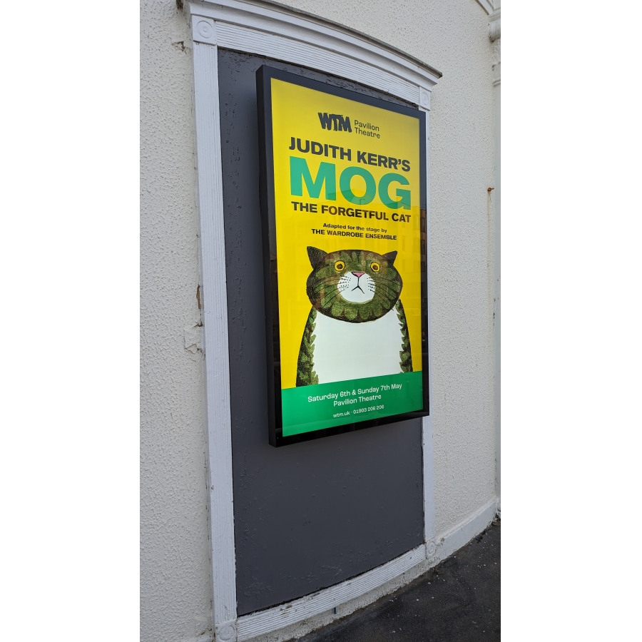 Sureview Commercial Displays SVFSOD320-V5 - Photo 2