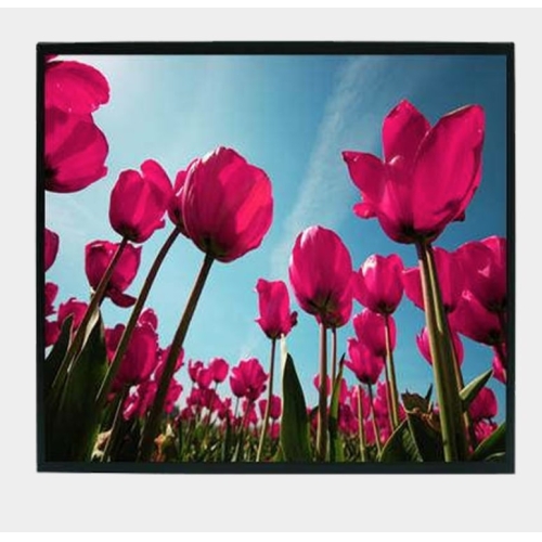 Litemax Commercial Displays SSD2955-I