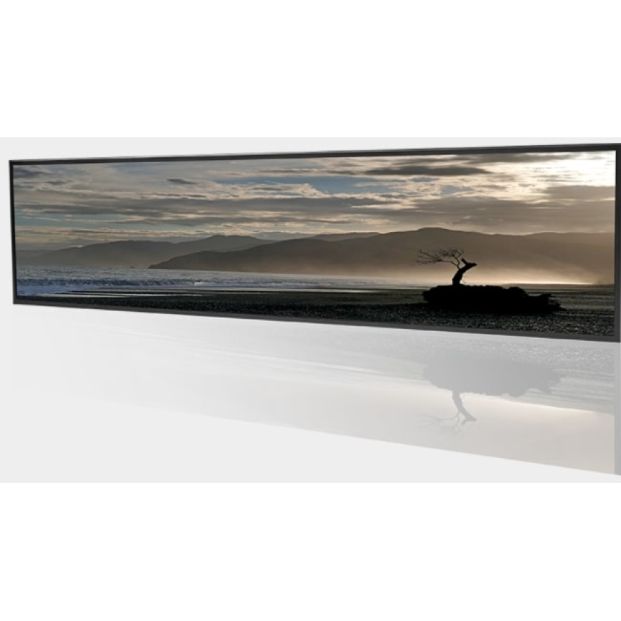 Litemax Commercial Displays SSD4225-Y