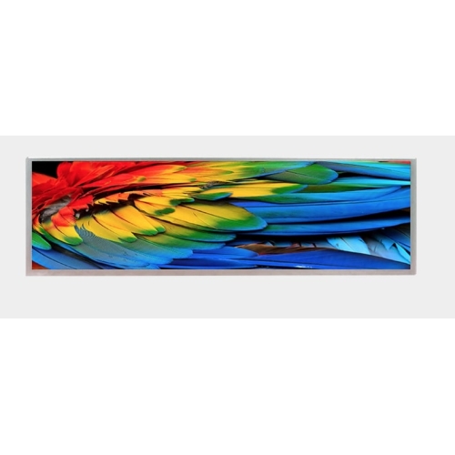Litemax Commercial Displays SSH1945-B