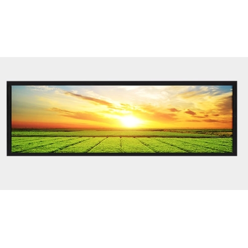 Litemax Commercial Displays SSH2445-M