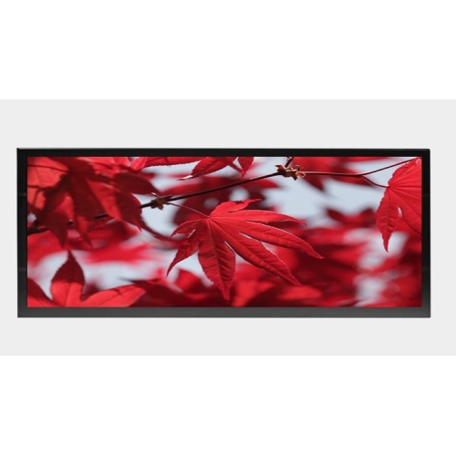 Litemax Commercial Displays SSH2940-Y