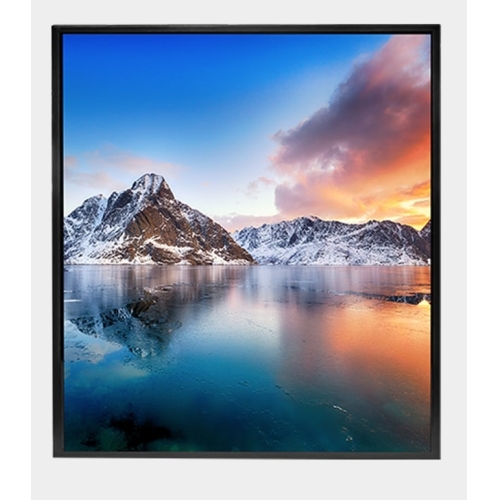 Litemax Commercial Displays SSH3565-I