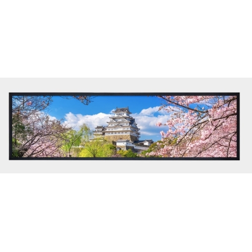Litemax Commercial Displays SSH4959-I