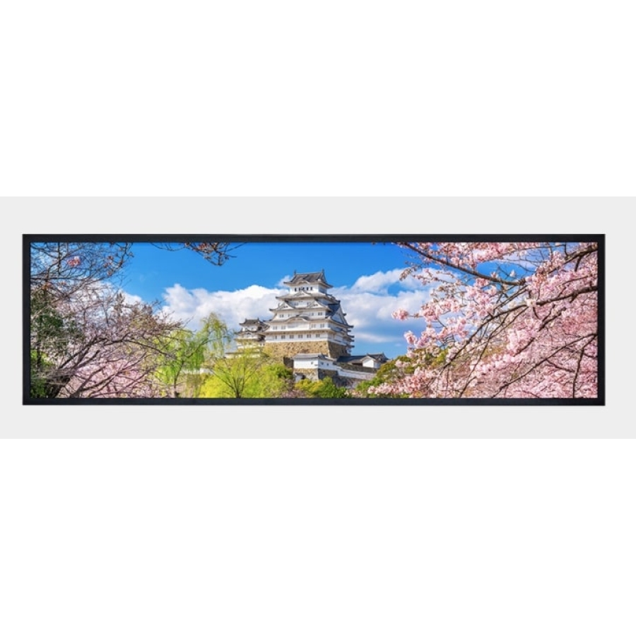 Litemax Commercial Displays SSH4959-I