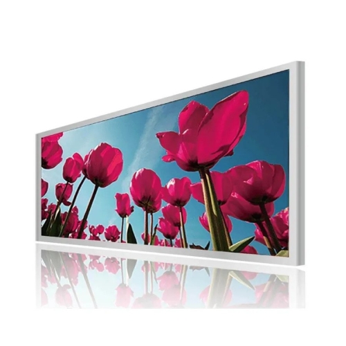 Litemax Commercial Displays SSH2945-E