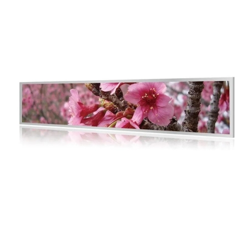 Litemax Commercial Displays SSF2125-A