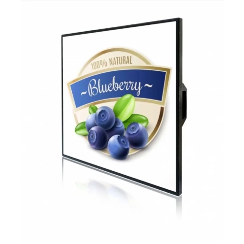 Litemax Commercial Displays SSH2203-Y