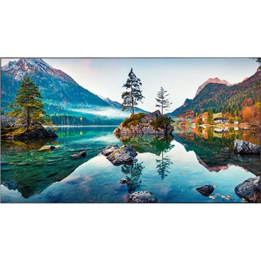 Vestel Commercial Displays WU55B/2H