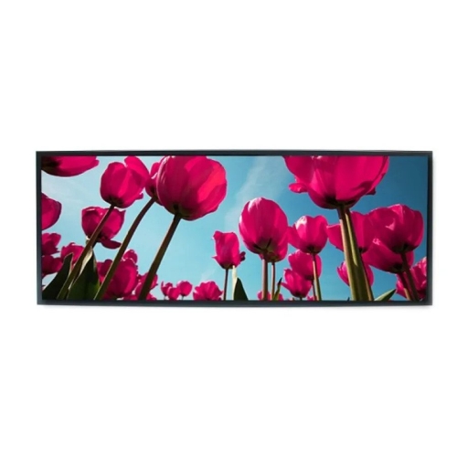 Litemax Commercial Displays SSD2925