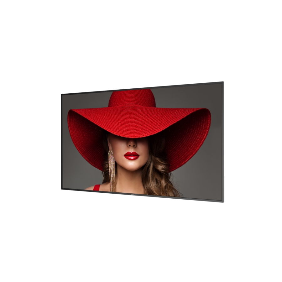 Philips Commercial Displays 75BDL4650D/00 - Photo 3